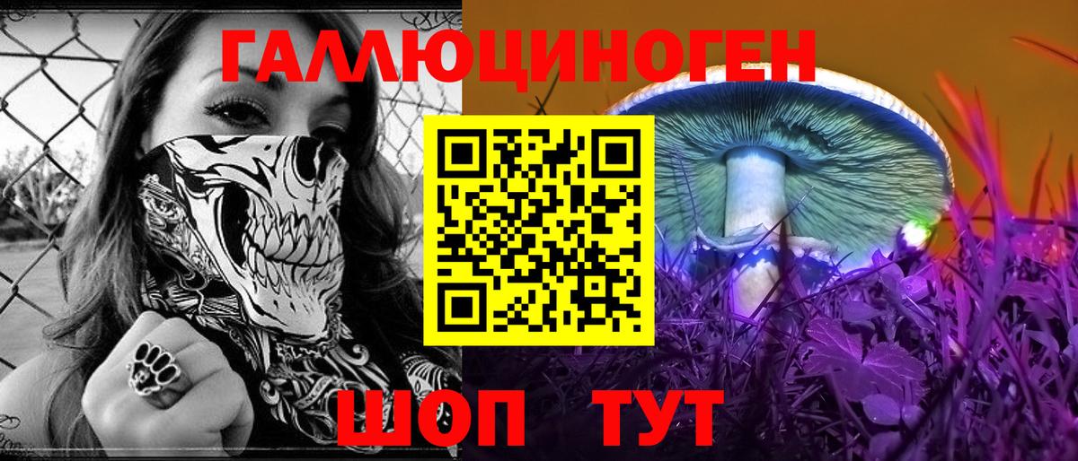 Псилоцибиновые грибы Psilocybe Златоуст