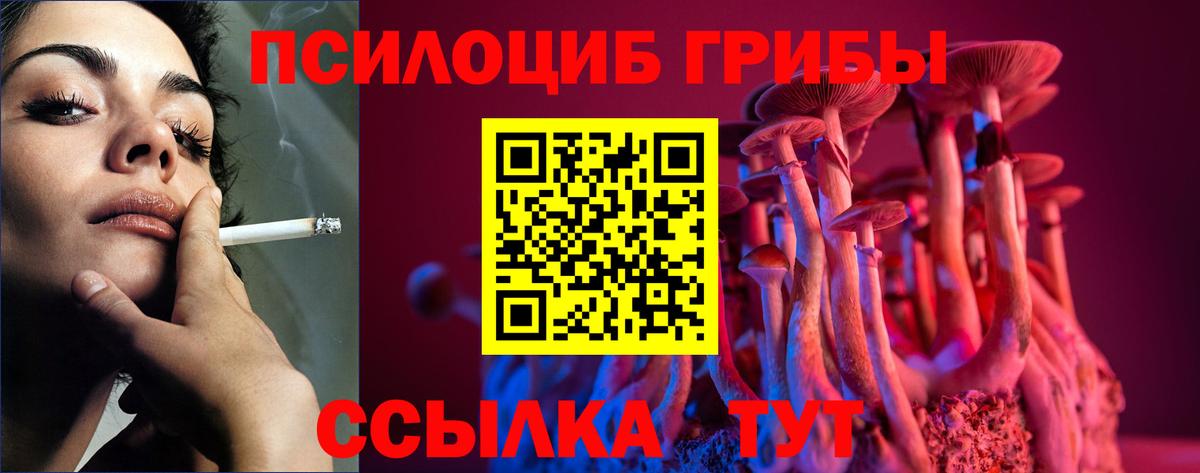 магазин  наркотиков  Псилоцибиновые грибы мухоморы  Вход с VPN  Златоуст 